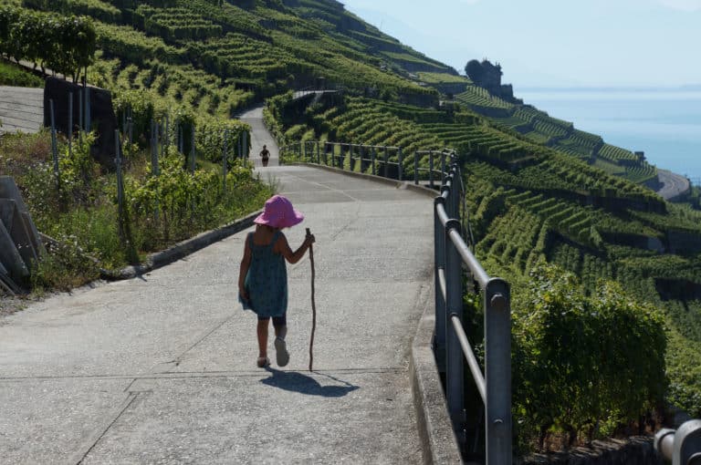 Randonnée dans les Vignobles du Lavaux en Suisse