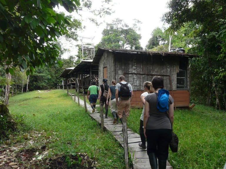 Parcourir la jungle d’Amazonie à travers un trekking