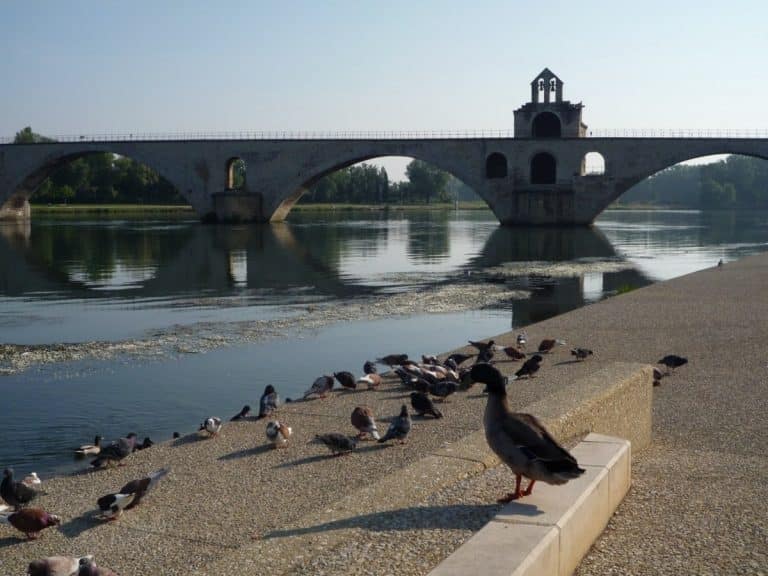 Une visite originale d’Avignon et ses alentours
