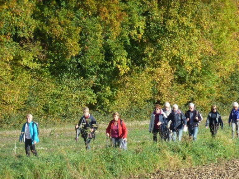 Les randonnées de la FFRandonnée pour octobre