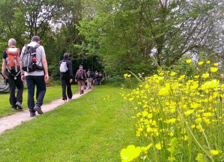 Découvrir les champs de bataille de la Marne en randonnée