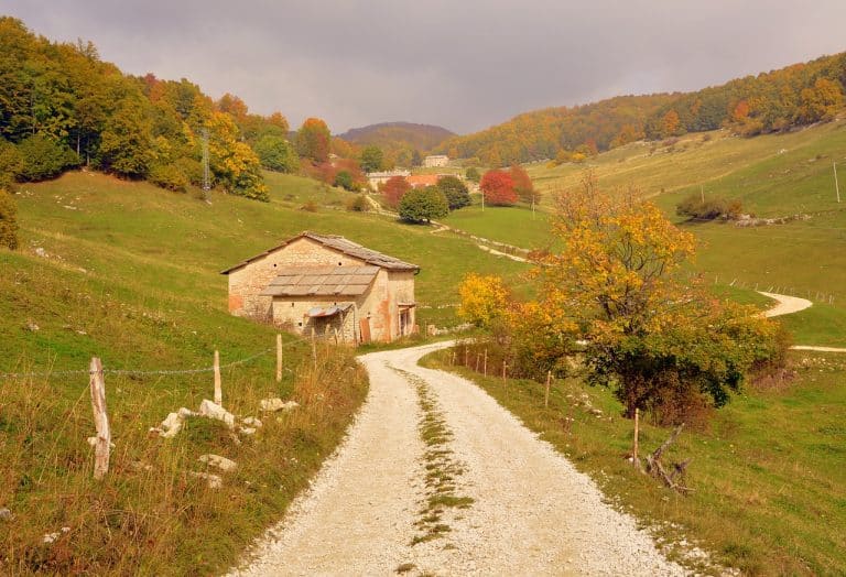 Un passage obligé dans les parcs aventure et animalier de la région de Gérone