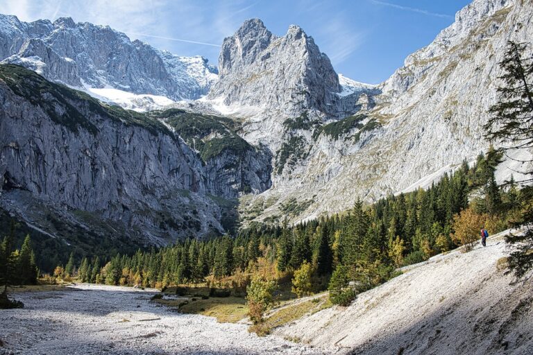 Quels trésors cachés découvrir lors de l&rsquo;exploration des sentiers alpins ?
