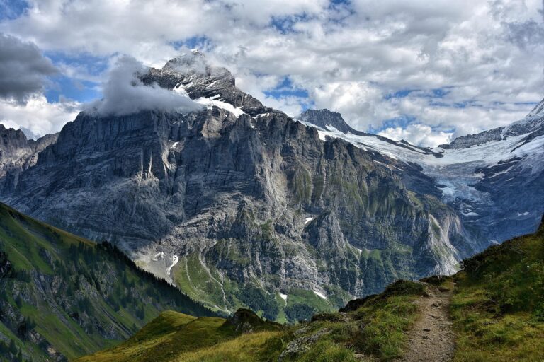 Comment profiter pleinement d&rsquo;une excursion nature en montagne ?