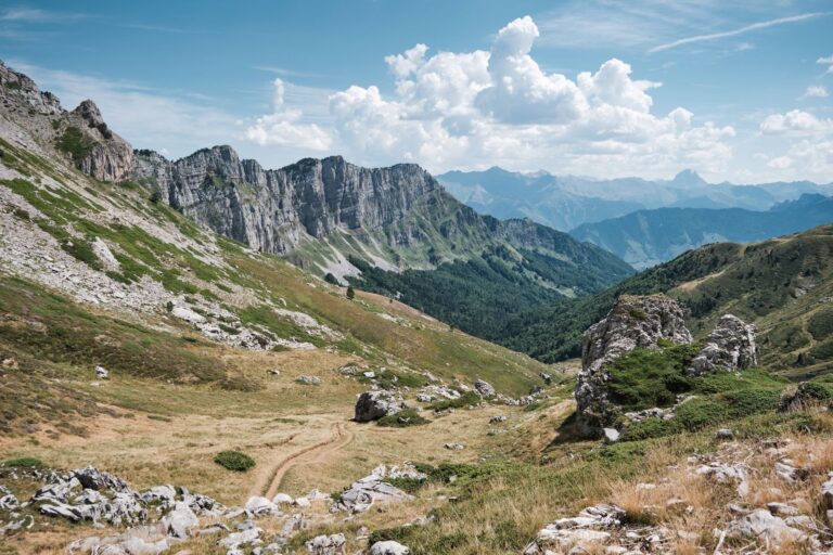 Quels trésors découvrir lors d&rsquo;une excursion alpine dans les Pyrénées ?
