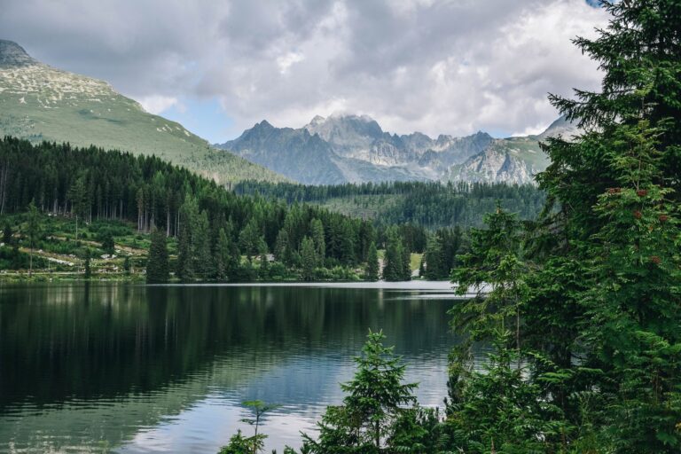 Quels sont les itinéraires de randonnée à explorer ?