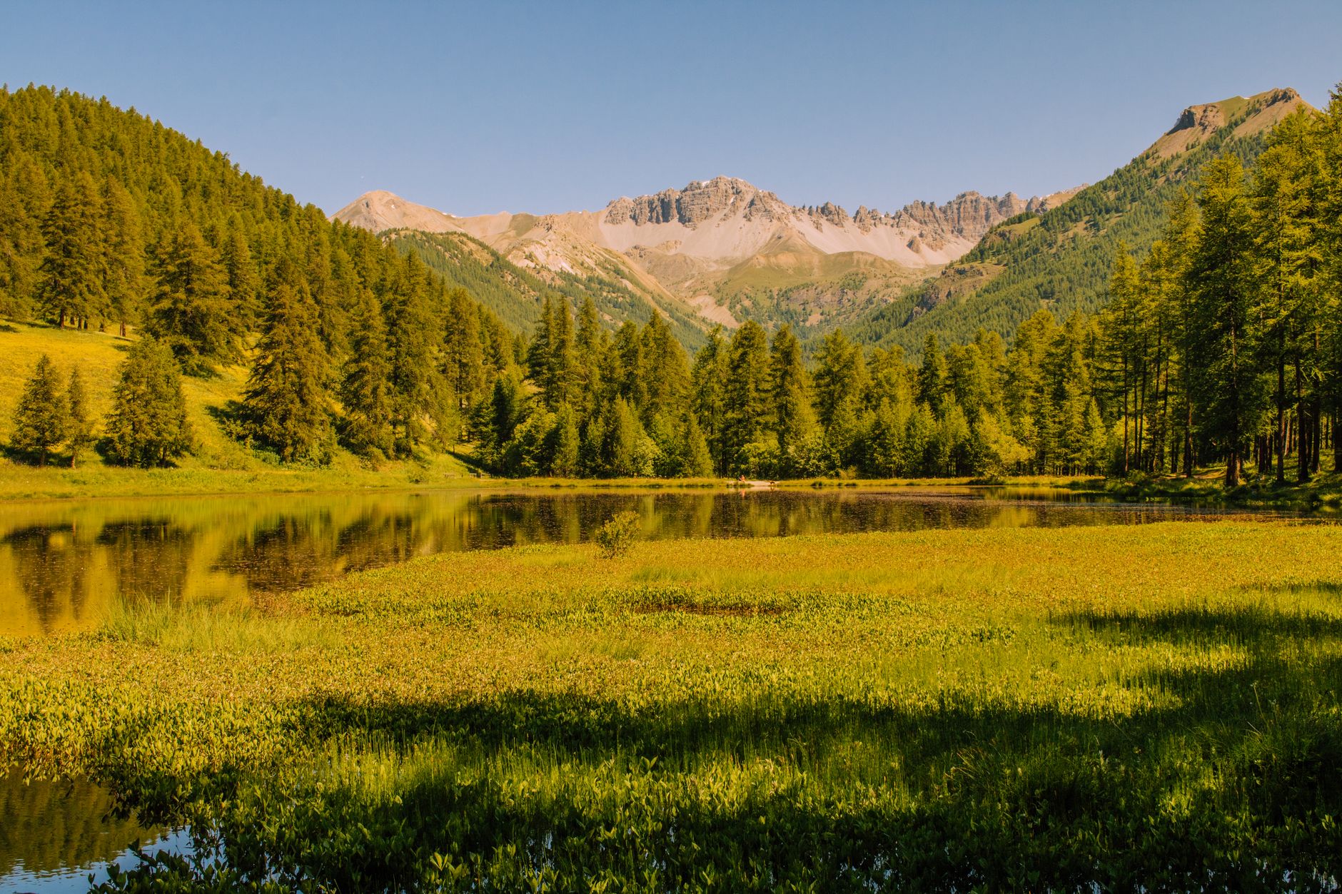 Quels trésors se cachent dans les paysages alpins ?