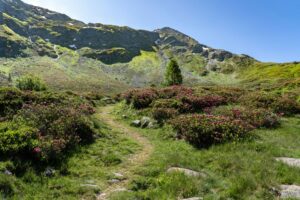 Envie de partir à la découverte des sentiers pyrénéens ?