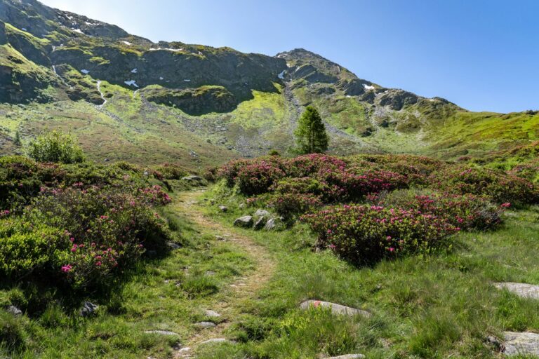 Envie de partir à la découverte des sentiers pyrénéens ?