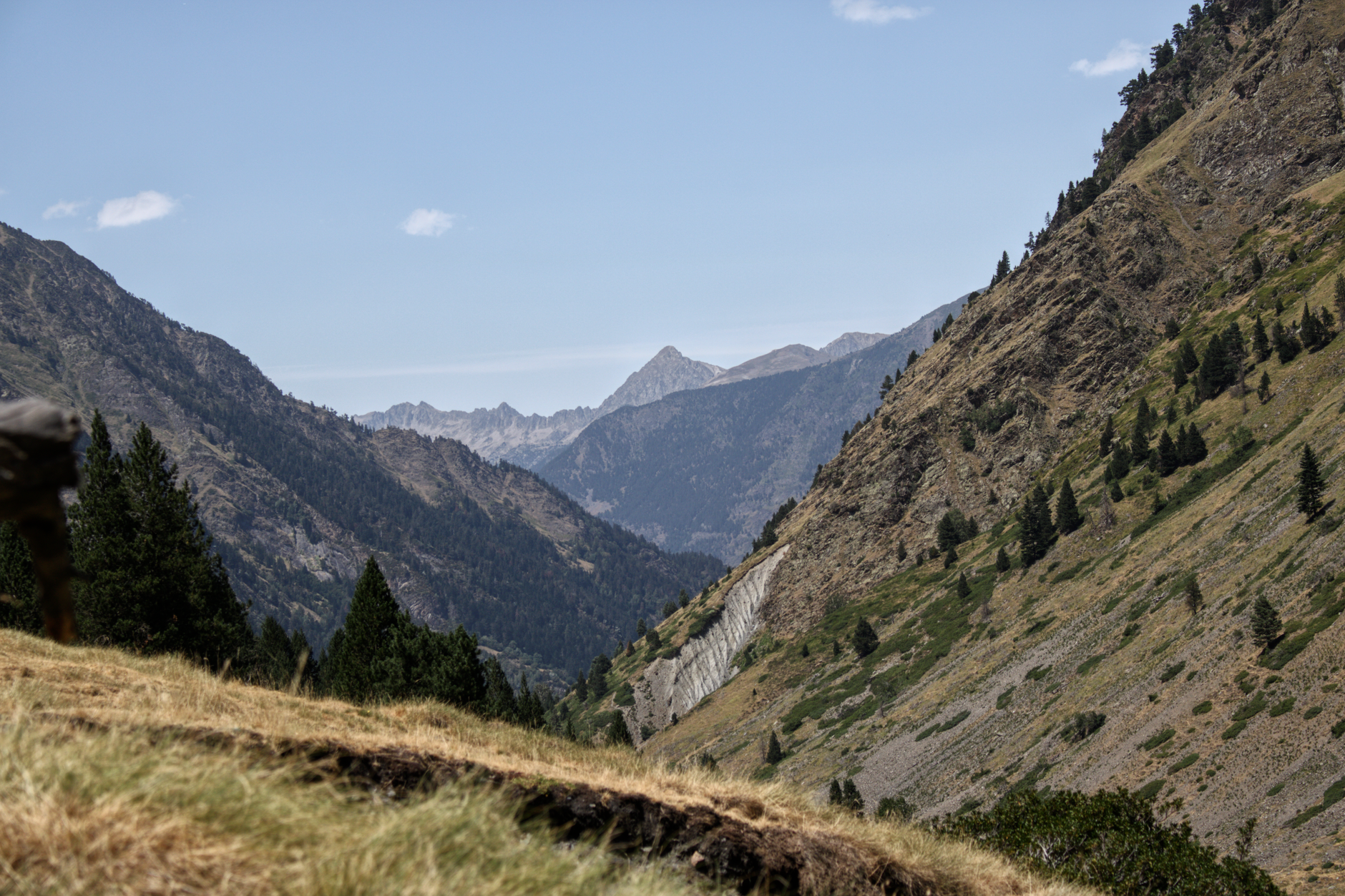 Quelles merveilles naturelles découvrir lors d&rsquo;une randonnée dans les Pyrénées ?