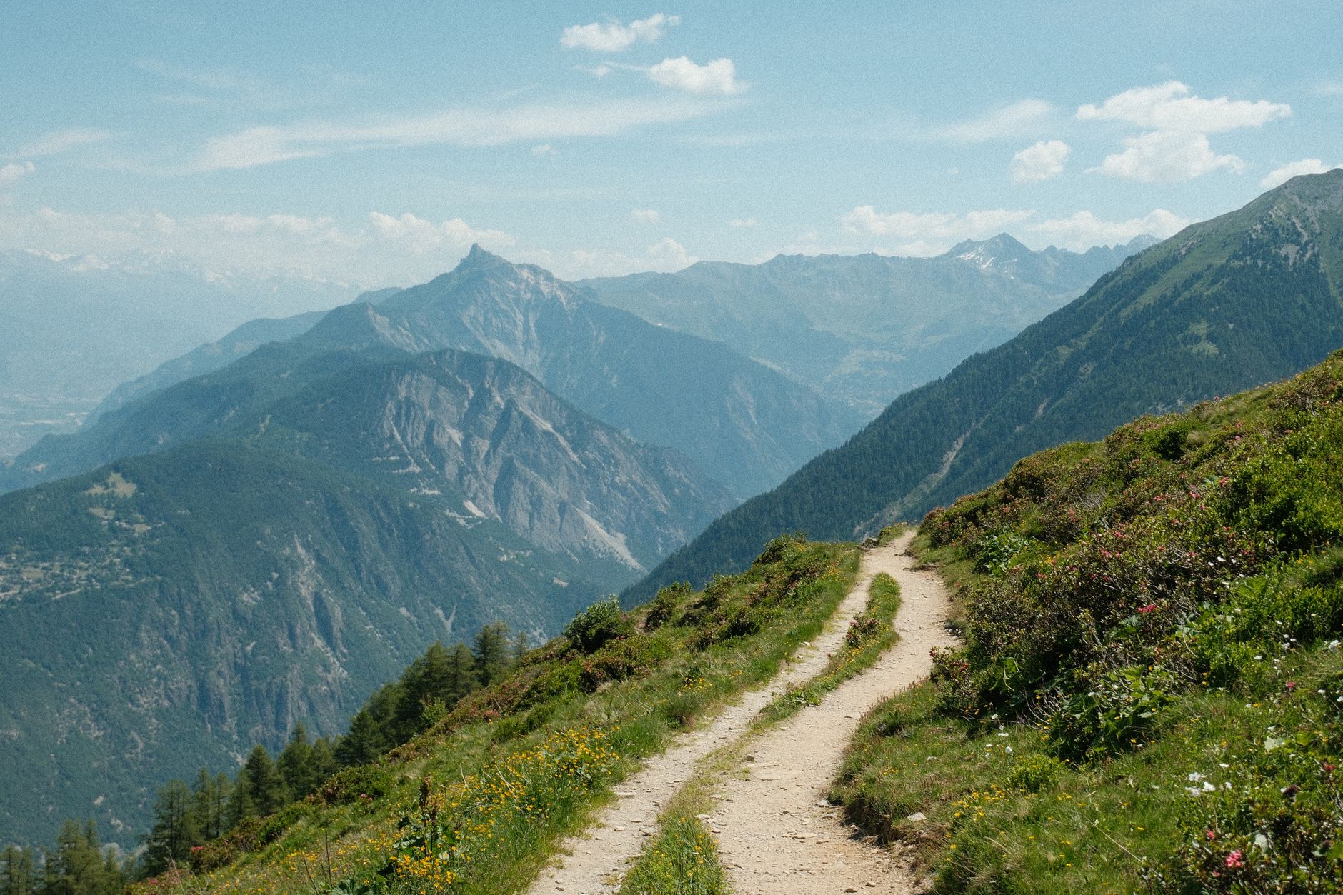 Quels trésors cachés découvrira-t-on lors de notre exploration des sentiers alpins ?