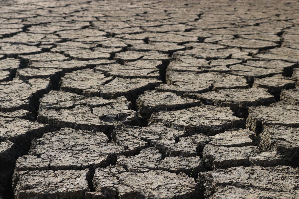 Sous Mexico et Medan, le sol s’enfonce de plusieurs millimètres chaque année
