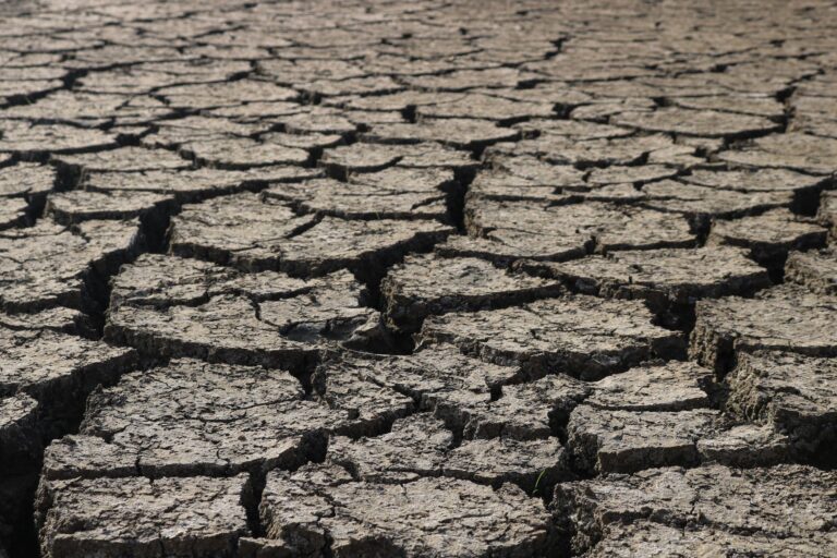 Sous Mexico et Medan, le sol s’enfonce de plusieurs millimètres chaque année