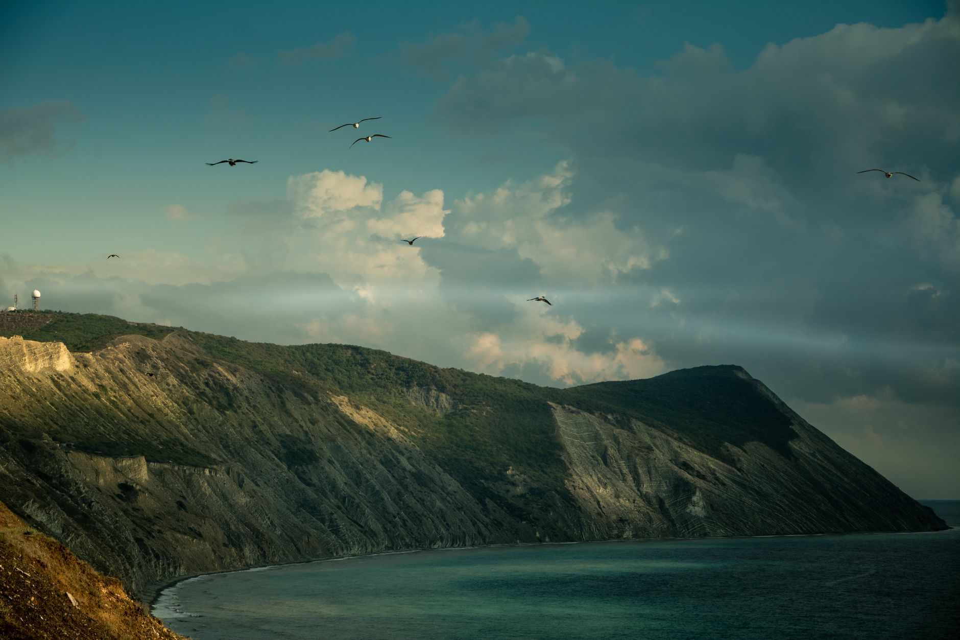 Oiseaux marins en plein vol au-dessus d’une côte escarpée bordée par la mer sous un ciel nuageux.