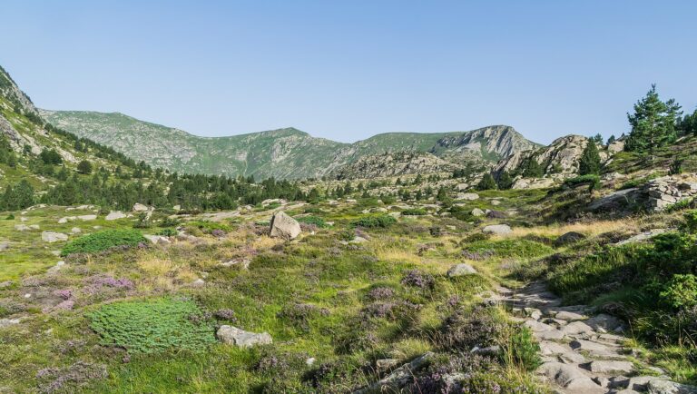 À Auzat, la randonnée se découvre aussi dans les livres, les films et la nature